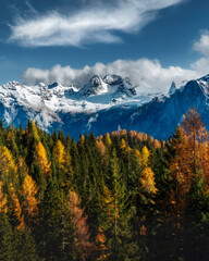 Colourful forest and Dolomite mountains surrounded by clouds in South Tyrol, Italy /View from Lago di Sorapis hiking trail / High ISO image