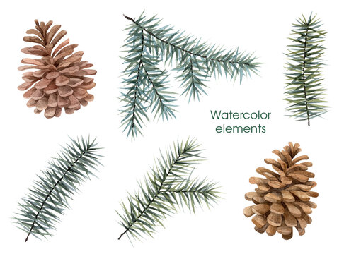 Watercolor Christmas illustrations set with fir branches and pine cones. Christmas decoration set.