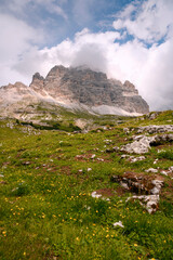 Dolomite mountains in Tre Cime, Italy, with green grass foreground during sunny summer day with blue sky