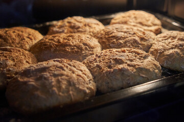 Baked whole wheat seeded bread with selective focus.