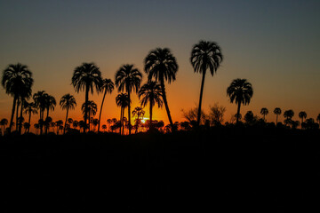 Sunset in the palmar of Colon, Entre Rios. Argentina