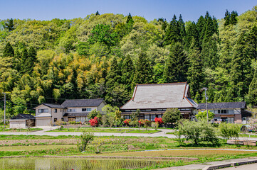 能登キリシマツツジオープンガーデン