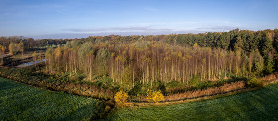 Birch tree forest seen from above with meadow in the foreground in autumn colored Dutch landscape. Aerial of winter season flora.