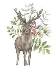 Deer watercolor illustration. Christmas card.