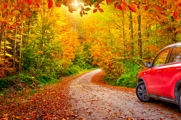 car in autumn. forest road in autumn. Car driving on the road in the forest in autumn season. Autumn landscape in the deep forest. Autumn view on a sunny day. 