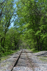 Abandoned railroad in Forest