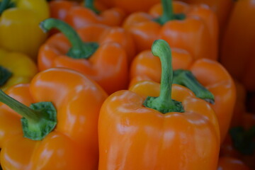 Orange Bell Pepper Closeup