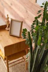 Green cactus near wooden wall, closeup