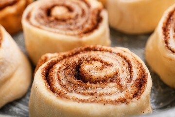 Uncooked cinnamon rolls in baking dish, closeup