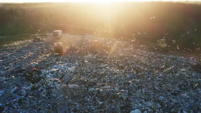 Aerial panoramic view of a city dump at sunset. A flock of birds is circling over the garbage dump. Garbage trucks unload garbage.