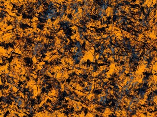 Texture unique backdrop painting mix form. Creative chaos structure element material creation bitmap figures. Acrylic. Handmade surreal abstract pattern. Modern artistic canvas matrix. Digital art