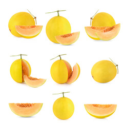 canary melon isolated on white background