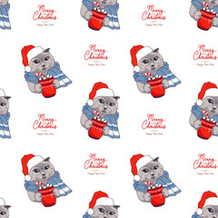 Christmas card with a cat in a New Years hat and a glass of cocoa with marshmallows.