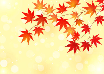 紅葉、もみじ、秋の風景、アブストラクト