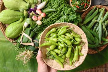 Fresh green organic Southeast Asian vegetables and spices from local farmer market, Northern of Thailand, Sustainability concept, Table top view