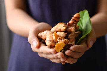 Fresh turmeric holding by hand, Food ingredients in Asian food and used in beauty spa and herbal medicine - obrazy, fototapety, plakaty