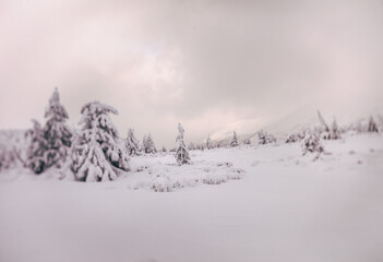 Winter and Frozen Scenery in Polish Giant Mountains.