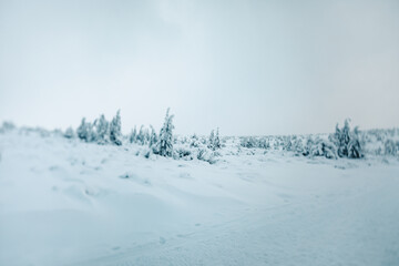 Winter and Frozen Scenery in Polish Giant Mountains.