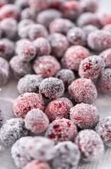 Lemon cranberry bundt cake