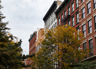 Fototapeta na wymiar Row of Old Brick Buildings in SoHo of New York City with Colorful Trees during Fall