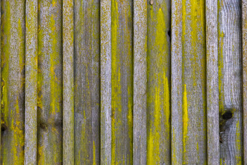 old wooden fence