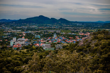 Fototapeta premium wood, beauty, foliage, wild, river, forest, water, view, scenery, lake, park, flower, colorful, color, travel, floral, sky, blue, blossom, tree, bloom, tourism, scenic, nature, green, plant, grass, fi