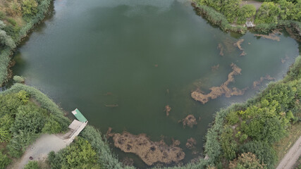 See