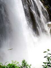 Chorro de un gran cascada en un bosque tropical 