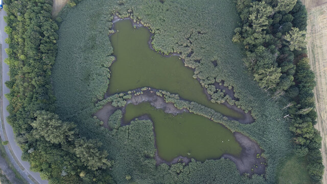 Tümpel Bilder Durchsuchen 8,048 Archivfotos, und