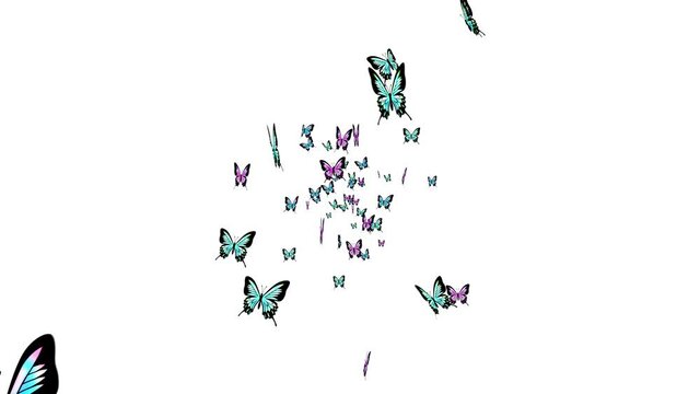 Many colorful butterflies flying in air on white background. Nature concept.  Butterfly flapping. Illustration of insects. Loop animation.