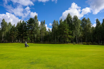 Fototapeta premium Landscape, golf course,, green grass on the background of the forest and a bright sky with clouds