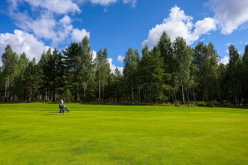  Landscape, golf course,, green grass on the background of the forest and a bright sky with clouds