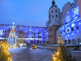 Ducal Castle of Szczecin illuminated for Christmas festivity  with blue light projection (snow theme) - obrazy, fototapety, plakaty