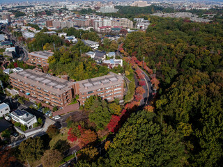 ドローンで空撮した秋の名古屋の街並みと紅葉の風景