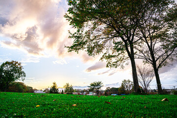 パークゴルフ場