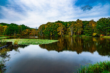 紋別　森林公園