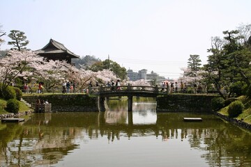 Fototapeta na wymiar japanese garden with bridge