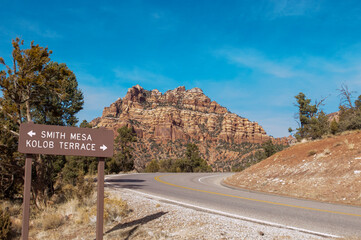 zion national park