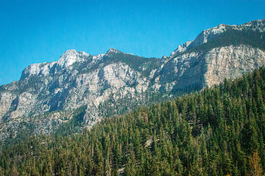 Mt. Charleston