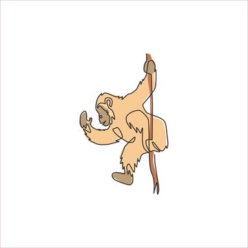 recommend clip art: One continuous line drawing of cute chimpanzee hanging on tree branch for conservation jungle logo identity. Adorable mascot concept for national park icon. Single line draw design vector illustration
