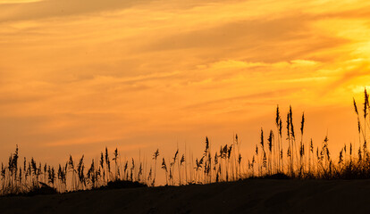 Sunset Sky in the Outer Banks, North Carolina Dunes
