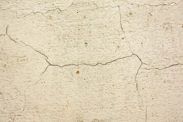 Old concrete walls have cracks in the background.