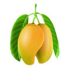 Fresh yellow mango fruit isolated on white background.illustration vector