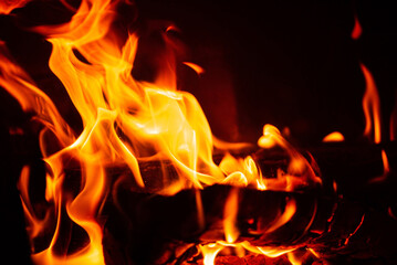 Obraz premium fire on the black background