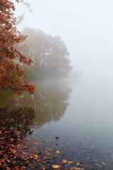 Misty foggy autum on a small lake