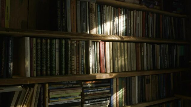 Sun rays playing on a bookshelf