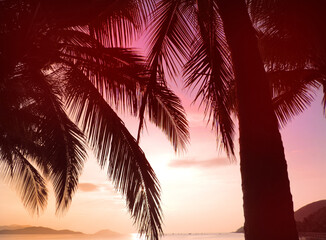 Sunset or sunrise skies and palm tree leaves silhoutte in the sea landscape. Beautiful sunset beach   . Romantic summer holiday and vacation concept for tourism.