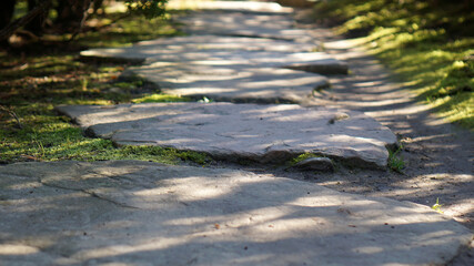 Ground level view of a stepping stone path in a garden. Can be used as background with copy space.