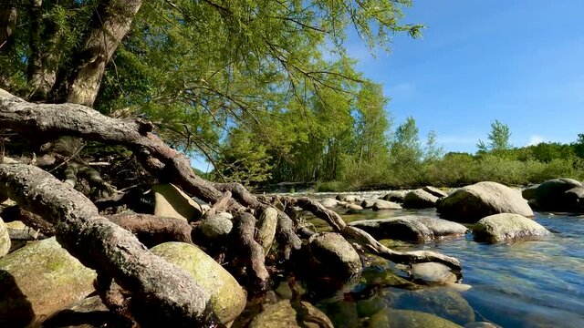 Summer Landscape on the Water