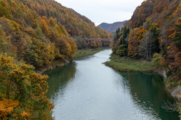 Fototapeta na wymiar Autumn leaves in the Okususobana Valley